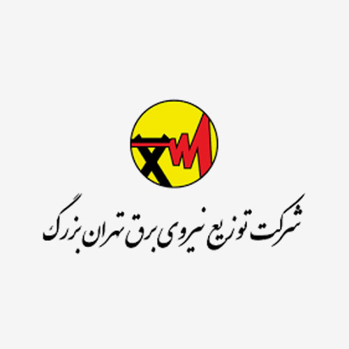 Big Tehran Electricity Distribution Company